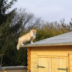 SANYO DIGITAL CAMERA