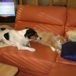 SANYO DIGITAL CAMERA